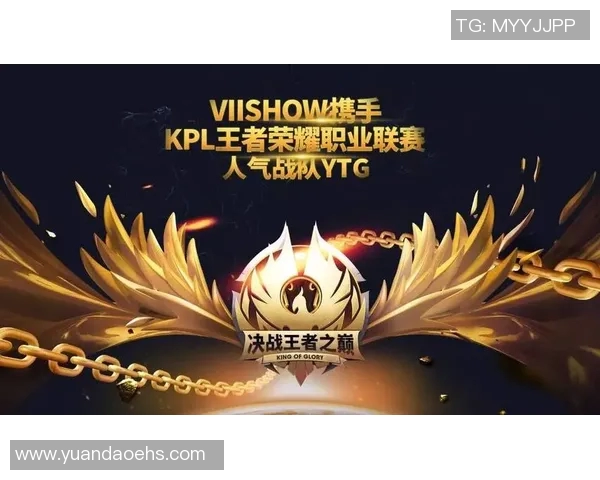 电竞比分王者荣耀V5战队奋斗历程全景纪实与荣耀之路